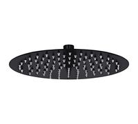 Festnight Cabezal Ducha | Alcachofa de Ducha Placa de Ducha Ultra-Delgado Lluvia Redondo Cabezal de Ducha 304 Acero Inoxidable Lluvia de Alta Presión Negro 25 cm