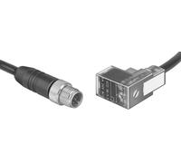 Festo Plug Socket Con Cable 5 Pines Forma C 0.5m - 177677