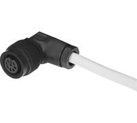 Festo Plug Socket Con Cable M16x0.75 EN 61076-2-106 2.5m - 161879
