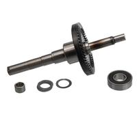 Festool - Árbol de fermentación