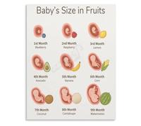 Fetal Fruit Scale Poster Pregnancy Week Tracker for Hospital Maternity Floor