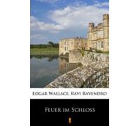 Feuer Im Schloss (ebook)
