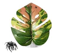 Feuille Araignée Sauteuse,Fournitures Réalistes Pour Animaux De Compagnie Avec Ventouse,Accessoires Araignée | Pour Plantes Terrarium Serpent Animaux Zoo Et Oiseau