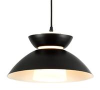 FEWDSCA Hertl Estilo Industrial Moderno Colgante Fuente de Luz Lámpara Dea Sola Cabeza, Sombra de Lámpara Colgante de Hierrorsonalizado, Sala de Estar Dormitorio Pasillo Decoración Luz