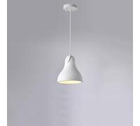 FEWDSCA Luz Colgante de Cabeza Única de la Base de la Lámpara de Araña de Fruta Creativa Moderna/ 20Cm