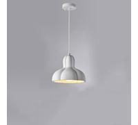 FEWDSCA Luz Colgante de Cabeza Única de la Base de la Lámpara de la Resina Frutada Creativa Moderna/ 27Cm