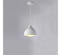 FEWDSCA Luz Colgante de Cabeza Única de la Base de la Lámpara de la Resina Frutada Creativa Moderna/ 19Cm