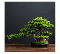 FEWDSCA Simulación de Árbol Artificial Bienvenido Bonsai Ornamentos de Escritorio Sala de Estar Entrada Sala de Té Decoración de Oficina Plantas Verdes Plantas Enetas Falsas Árbol de Simulación/C. B.