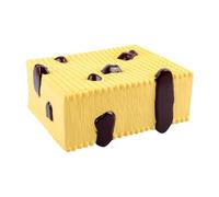 FewNvWa Modelo de Estructura de Liso, Equipo Portátil de Laboratorio de Biología para La Enseñanza