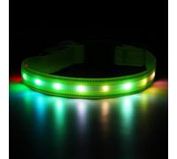 Feycig Collar de perro iluminado - Collar de perro LED recargable por USB e impermeable con 4 modos de parpadeo que brilla en la oscuridad, collar de seguridad para mascotas para pasear por la noche