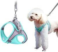 FFWTPY Arnés Chaleco Ajustable Transpirable Malla Acolchado Seguridad Correa Paseo Control Sujeción Canino Mascotas (Verde L)