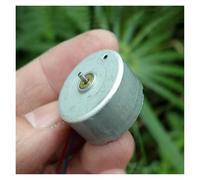 FFYTRGQWU Current 300 - Arrancador electrónico CC 6V-9V 4300RPM 6mA 1.5mm eje experimental tipo de modelo de coche