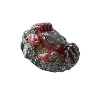 FGDTREE Adorno artístico de té que cambia de color para amantes que buscan placer estético y paz interior, dije de té de la suerte