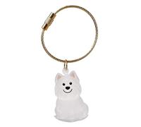 FGDTREE Llavero conmemorativo de cenizas de mascotas con caja protectora transparente, caja de pelo de perro para proteger el pelo del perro, llavero conmemorativo de mascotas