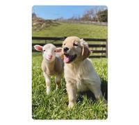 FGHRR Barnyard Buddies- Letrero de metal de metal para regalo, 30,5 x 20,3 cm
