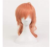 FGO Destino/Gran Orden Romani Archaman Dr. Roman Doctor Cosplay Peluca Naranja Colas de Caballo Sintético Halloween Carnaval Disfraz Pelucas KUJ6687