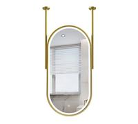 FGXHHS Espejo Ovalado con Marco de Metal Dorado | Espejos de baño de Pared con Luces LED | Espejo de tocador Grande para Colgar en el Techo, Ideal para la Entrada o el vestidor (50 cm x 6
