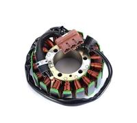 FHASDBNOY Bobina de estator motocicleta compatible con KTM Adventure 950 950S 990 990S SuperDuke, Super Enduro 990T 990R OEM 60039004000