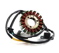 FHASDBNOY Compatible con ZONTES ZT310-R/T/V/X ZT250-S/R 310R 310T zontes 310/250cc Generador de motocicleta Magneto Estator Bobina Accesorios(Small battery 93mm)