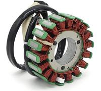 FHASDBNOY Estator del generador 55439104100 compatible con KTM XC-W TPI EXC SIX DAYS XC 300 250cc compatible Husqvarna TE250I 300i OEM: 55439104000