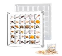 FHBHJNATC Caja de colección de cáscara, caja de conchas, caja de exhibición de concha, adecuada para muestras de piedra en miniatura junto al mar, caja de almacenamiento cuadrada transparente