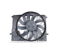 FHCBUTAE Depósito compensación refrigerante para Mercedes para Benz C215 W220 R230 CL600 S600 Radiador Ventilador Conjunto 2205000293