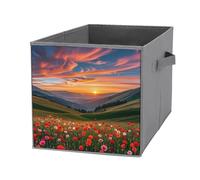 FHESDCW Cloud Garden at Sunset - Caja de almacenamiento plegable con asas, cubos de almacenamiento Oxford duraderos, 1 organizador plegable para el hogar, estante, oficina, viajes