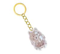 FHGSPQWM Llavero emocional para pérdida de mascotas, caja conmemorativa con almacenamiento de pelo transparente para dueños en duelo, joyería de perro, llavero de almacenamiento impermeable, llavero