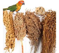 Fhiny - Ropa de cama natural comestible para hámster, flores y hierbas, jerbillo, decoración de hábitat, golosinas, accesorios para jaula de hámster sirio, jerbo, ratón, Lemming Degus