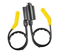 fhjwqronte Bobina de encendido de 12 V, para el número de referencia 94DA12029AC 9220061800, para recambios de automóviles y motocicletas en Australia (Fairlane), para Falcon Ltd (Fairmont)