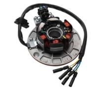 fhjwqronte Bobina de encendido del estator del magneto Yx150 Yx160, para Yinxiang 150 para cc y 160 para cc, Kayo, BSE, SSR, GPX, Pitsterpro; recambios para motos de cross y pit bike Bobina de