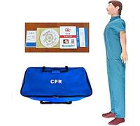 FHSLKXIM Maniquí De Simulación De Reanimación Pulmonar, Cuerpo Completo, Mente Y Pulmones, Modelo De Entrenamiento De Enseñanza De Primeros Auxilios con Rcp Y Presión.