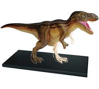 FHSLKXIM Modelo De Anatomía, Modelo Anatómico Animal, Modelo De Tiranosaurio, Modelo De Anatomía, Animal Desmontable De 36 Piezas para Demostración.