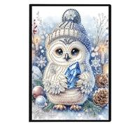 FHTech Store - Cuaderno de dibujo con forma especial de muñeco de nieve 5D con diamantes de imitación, sin líneas, kit de manualidades a mano, 50 páginas, bloc de notas de cristal, cuaderno de bocetos