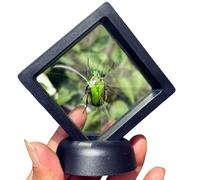 FHUILIJH Especimen de Tortuga Dorada de Flor Verde - Modelo Educativo Modelo de espécimen de Insecto - para enseñanza de Alumnos de Escuela Primaria,Negro,8cm