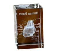 FHUILIJH Modelo de anatomía del corazón de Cristal Humano 3D, Modelo de corazón 3D Regalo de médicos de Cristal, Estatua médica para graduación de psicología,Clear,10cm