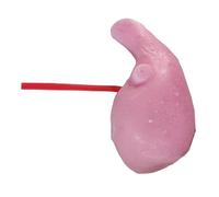 FHUILIJH Modelo de Entrenamiento hepático 3D Modelo de Entrenamiento de simulación laparoscópica para Uso de Entrenamiento de Estudiantes de Medicina médicos,Rojo,17c