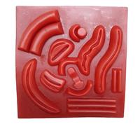 FHUILIJH Modelo de Entrenamiento laparoscópico Modelo de Entrenamiento de Piel Artificial 3D para educación en el Aula y Entrenamiento médico,Flesh,16cm