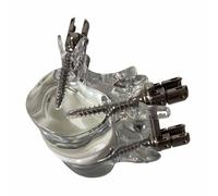 FHUILIJH Modelo Transparente de Columna Lumbar - Modelo de Fijación Interna Lumbar - para Oficinas Veterinarias y Aulas,Clear,8cm