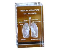 FHUILIJH Regalos de pulmón de Cristal 3D para Mujeres y Hombres, Regalo de médicos de Cristal Modelo de pulmón 3D, Estatua médica para graduación de psicología,Clear,10cm