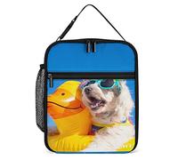 Fiambrera con aislamiento, lindas gafas de sol para perros, reutilizable, portátil, con bolsillo lateral, verano, playa, pequeña bolsa térmica para comida, bolsa para hombres, mujeres, trabajo