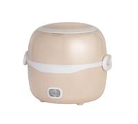 Fiambrera eléctrica,fiambrera multifuncional con calentador,vapor caliente,mini olla arrocera enchufable para calentar comidas,trabajadores de oficina(Brown,Style 2: Two-Tier)