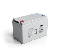 Fiamm Batería de 12 V, 100 Ah, 12FGL100, VRLA, AGM hermética para caravanas