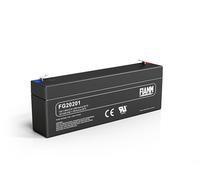 FIAMM - Batería de plomo FG20201 Vds, 12 V, ácido y plomo
