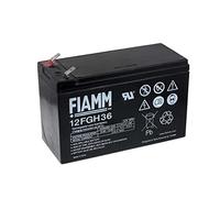 FIAMM Batería de Plomo-sellada 12FGH36 (Alta Intensidad)