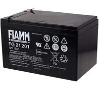 Fiamm Batería de repuesto para sillas de ruedas, scooters eléctricos, 12 V, 12 Ah, 12 V, Lead-Acid