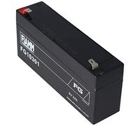 Fiamm FG10301 Blei Akku, 3,0Ah