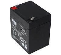 Fiamm FG20451 cable de la batería de 12 Voltios, 4500mAh