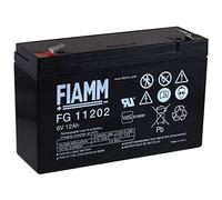 FIAMM Recambio de Batería para Vehículos para niños Coche Infantil Quad 6V 12Ah (Reemplaza también 10Ah)