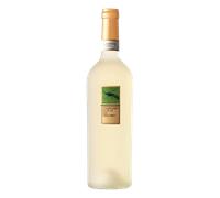Fiano di Avellino DOCG Feudi di San Gregorio Campanaro Riserva 2023